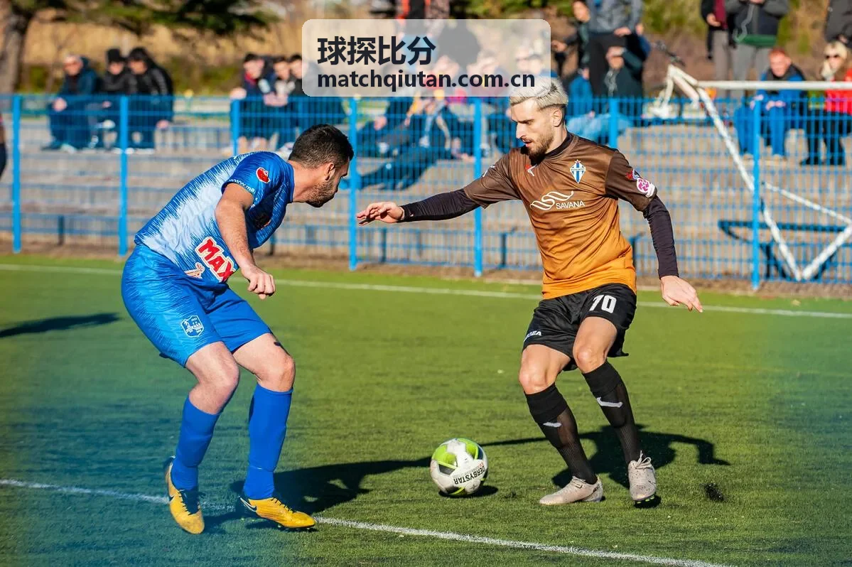 球探比分析伤停信息汇总